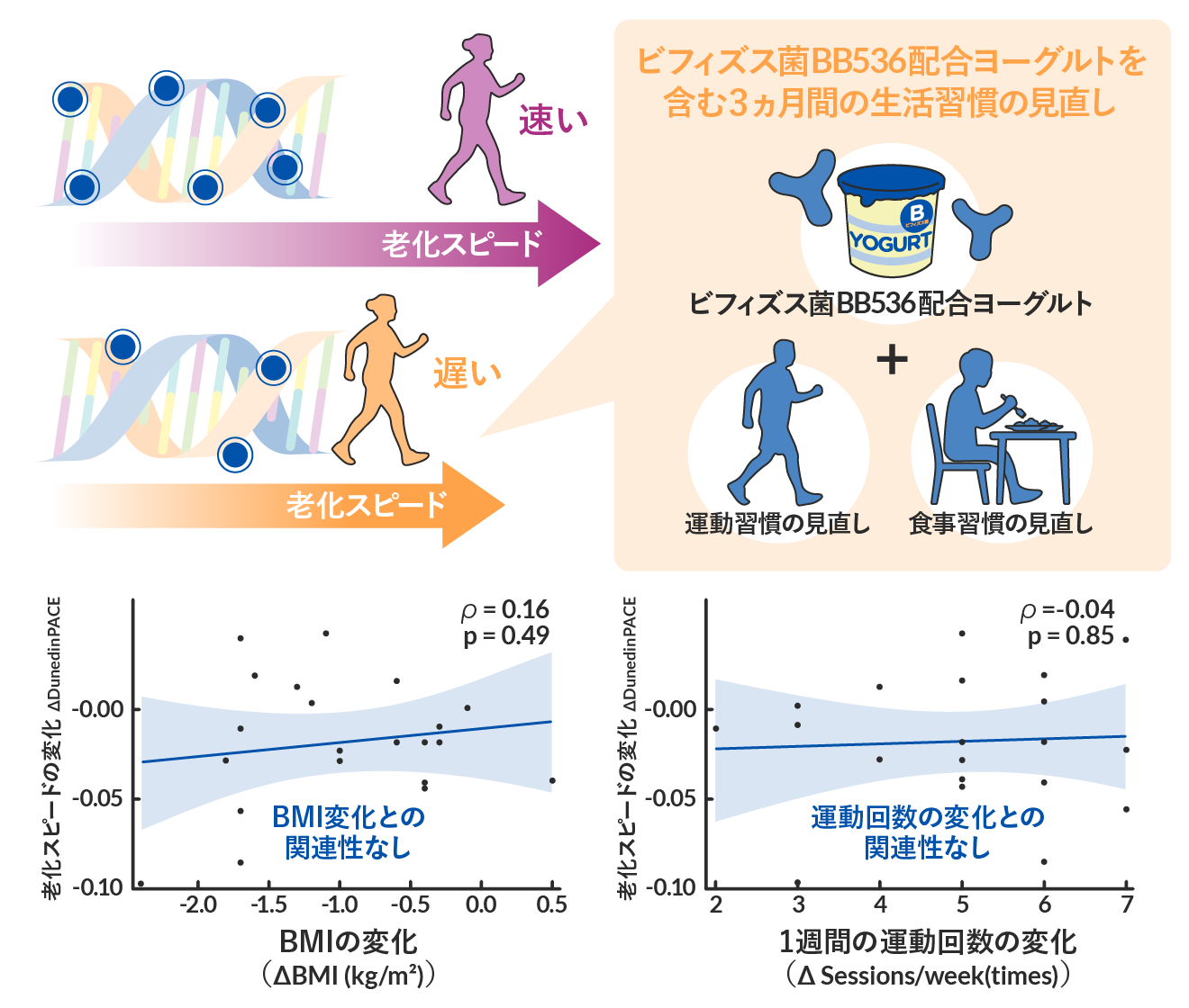 老化スピードの変化のグラフ2