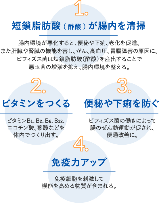 日本人の大腸で活躍するビフィズス菌 大腸に迫るリスク 大腸劣化 対策委員会