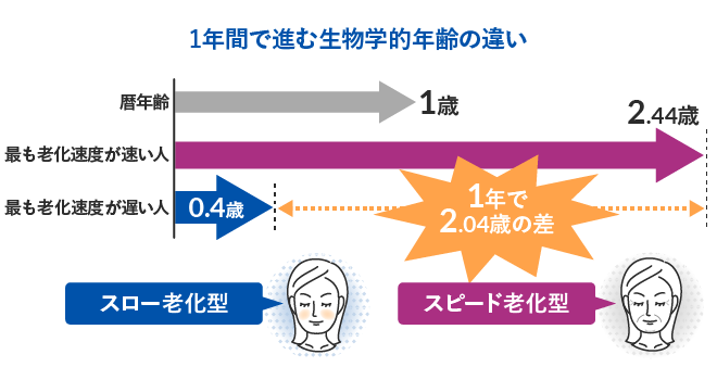 1年間で進む生物学的年齢の違い
