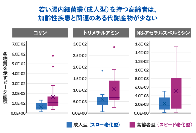 若い腸内細菌叢（成人型）を持つ高齢者は、加齢性疾患と関連のある代謝産物が少ない