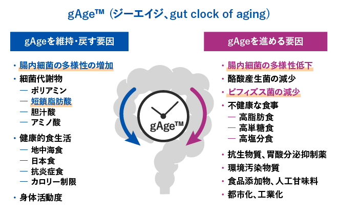 gAgeTM (ジーエイジ、gut clock of aging)