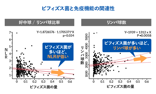 ビフィズス菌と免疫機能の関連性